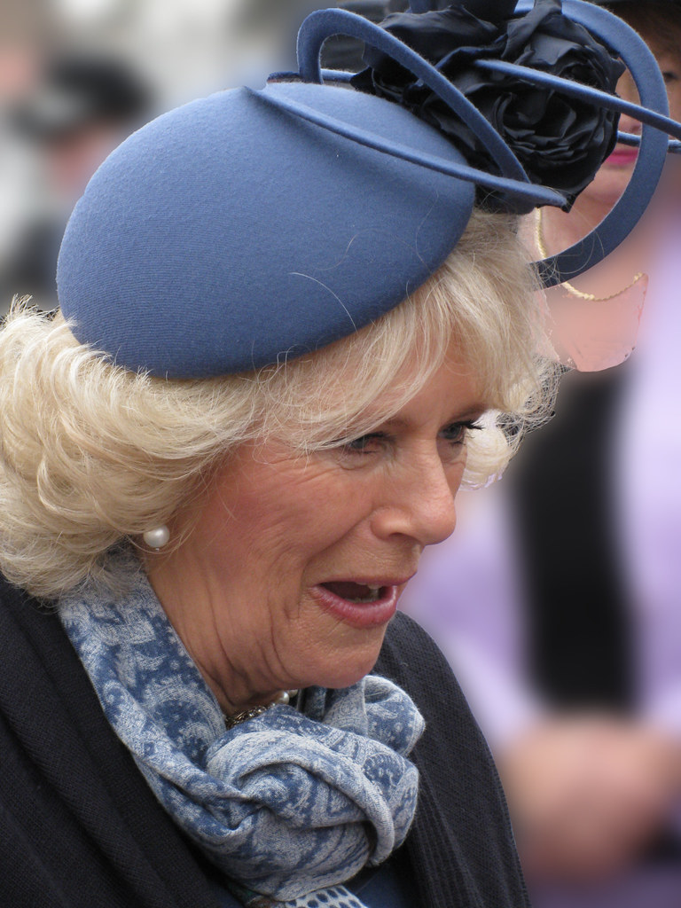 Camilla e la Regina Elisabetta: rapporti freddi o distesi?